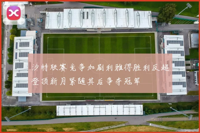 沙特联赛竞争加剧利雅得胜利反超登顶新月紧随其后争夺冠军