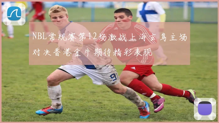 NBL常规赛第12场激战上海玄鸟主场对决香港金牛期待精彩表现