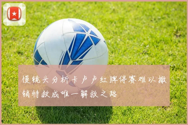 慢镜头分析卡卢卢红牌停赛难以撤销特赦成唯一解救之路