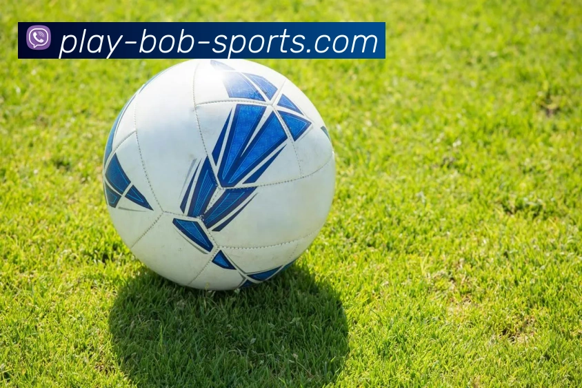 BOB体育平台生态图