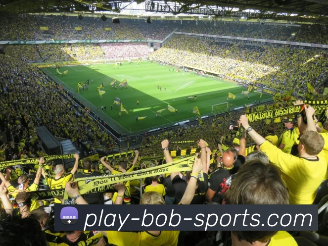 BOB体育APP 封面图